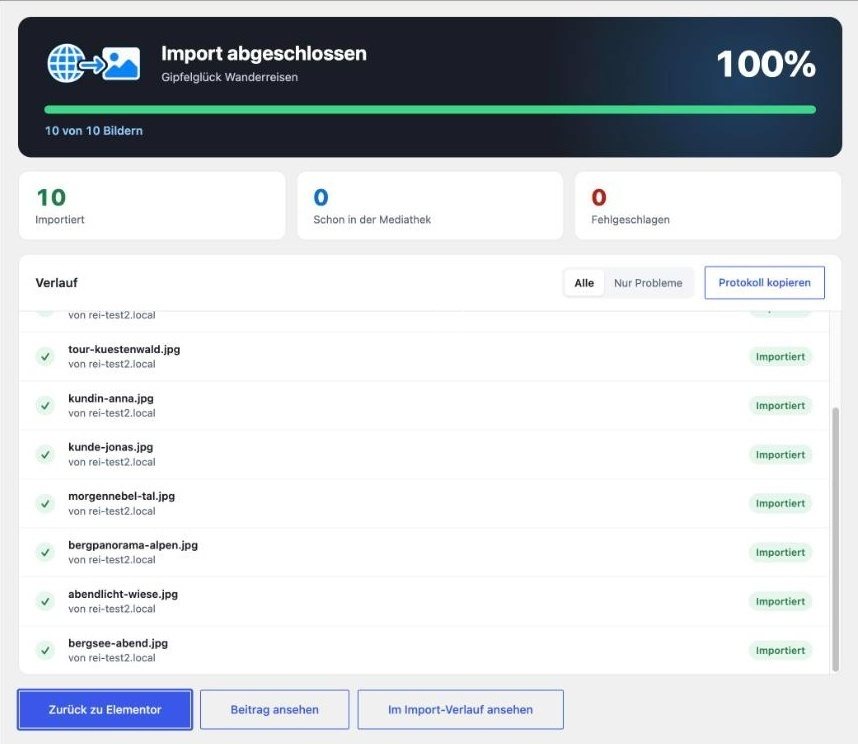 Import-Dialog: 10 von 10 Bildern einer Elementor-Seite importiert, Button Zurück zu Elementor