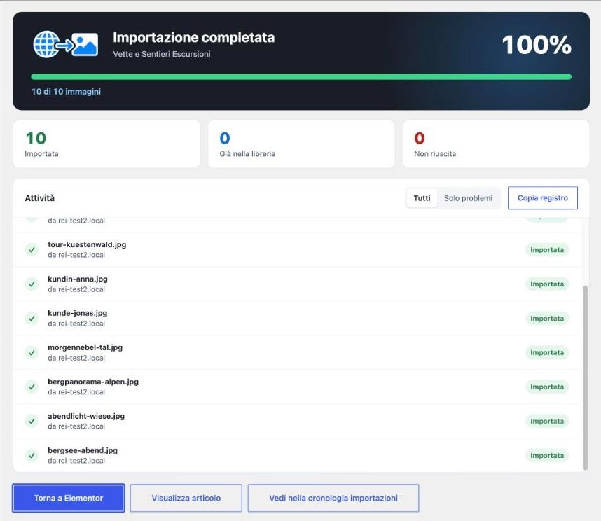 Finestra di importazione: 10 immagini su 10 di una pagina Elementor importate, pulsante Torna a Elementor