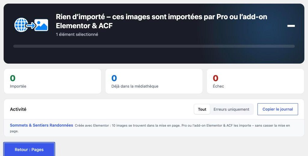 Fenêtre d’import sans l’add-on : 10 images se trouvent dans la mise en page Elementor