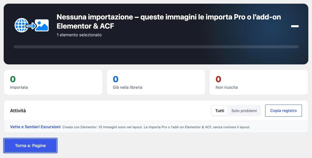 Finestra di importazione senza add-on: 10 immagini si trovano nel layout di Elementor